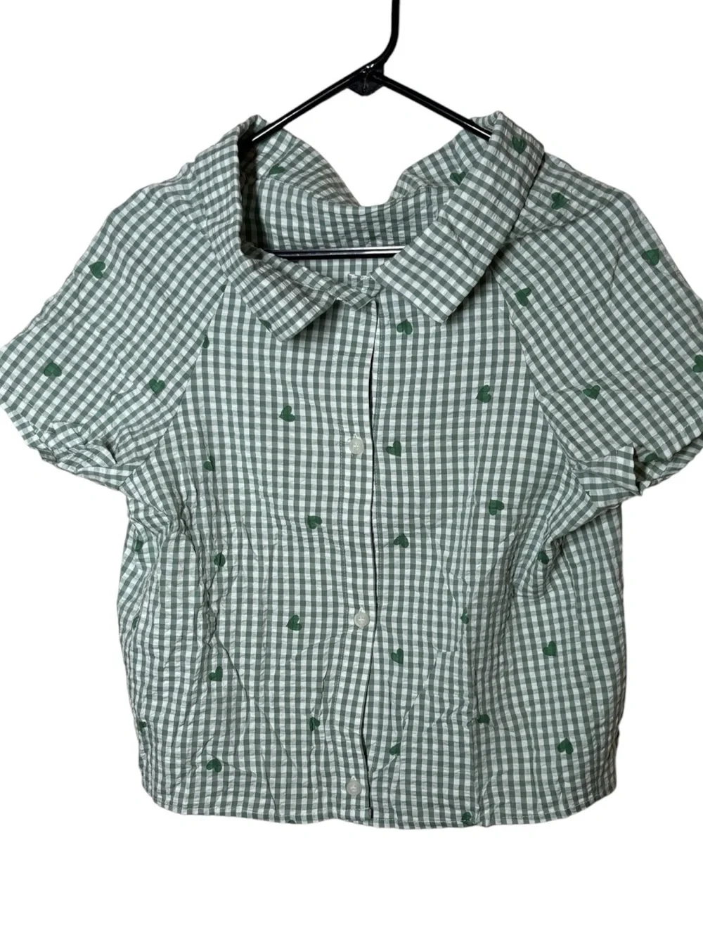 American Eagle Outfitters Green Gingham Heart Dog Shirt XL